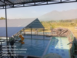 Kolam Renang - Ranting Sewu Pandaan