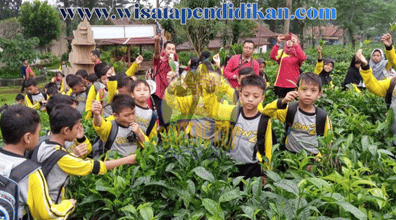 Kebun Bibit Wonorejo