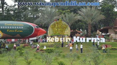 Kebun Kurma Pasuruan